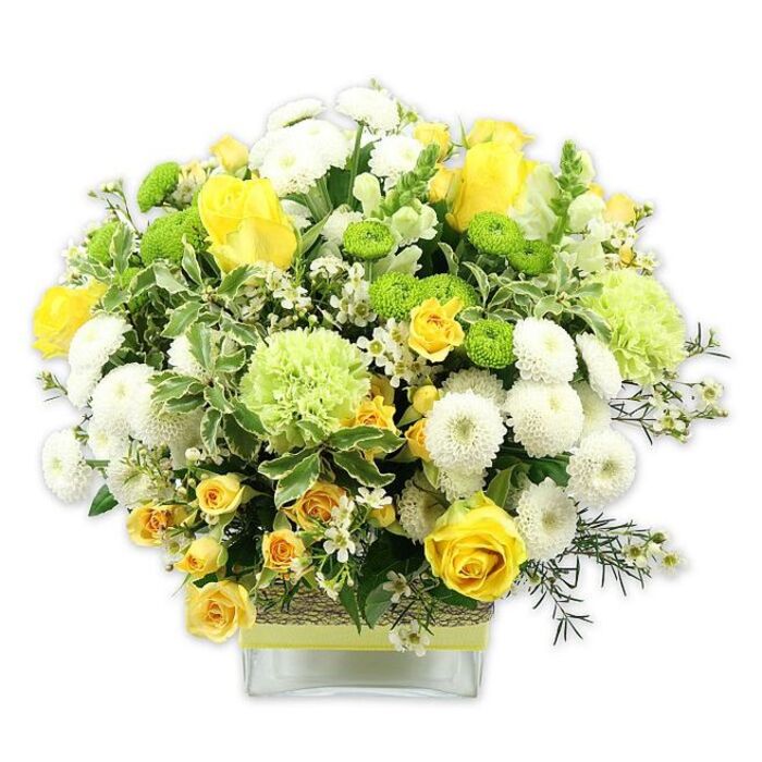 This image showcases a substantial, dome-shaped bouquet designed with the precision and warmth of a skilled local florist, as if it has just been set down on a dining table in a Gidea Park period home. The arrangement rests in a modern, low rectangular glass vase, its clear sides revealing a tidy grid of green stems submerged in water. Around the centre of the vase runs a rustic band of woven natural fibre, topped with a smooth lime-green or pale-yellow ribbon that echoes the colours of the blooms above. The floral display is a harmonious mix of sunny yellow, clean white, and refreshing green. At its core are generous yellow roses, their velvety petals layered in open blooms and poised in tight buds, supported by sprays of smaller yellow roses that fill in the spaces and lend a soft, cascading feel. White pompom chrysanthemums, perfectly rounded and densely petalled, provide a plush counterpoint to the roses, anchoring the design with their cloud-like forms. Bright lime-green button chrysanthemums, tiny and globe-shaped, sparkle throughout the bouquet, while larger pale-green flowers with frilled, carnation-like petals add a soft, almost billowy volume. The flowers emerge from a bed of lush greenery: variegated leaves edged in creamy tones, rich dark-green foliage, and airy filler stems that weave organically among the blooms. Sprinkled among the main flowers are delicate white filler blossoms, no larger than tiny stars, that enhance the sense of detail when viewed up close. The photograph's crisp white background and even lighting ensure every colour and texture is clearly defined. The mood is one of warmth, freshness, and gentle celebration, making this arrangement perfect for birthdays, housewarmings, or thoughtful congratulations delivered across Gidea Park and nearby Romford.
