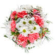 A jubilant ode to spring, this bouquet captures the refreshing spirit of Gidea Park-expertly arranged with pristine white daisies at the centre, surrounded by vibrant coral-pink carnations. Between the cheerful blooms, airy tufts of gypsophila evoke the lightness of petals drifting above the lawns of Raphael Park, while eucalyptus leaves curl elegantly at the edges, adding fragrance and visual depth. The soft, rounded composition is further enriched by subtle pops of unopened alstroemeria, tinted in gentle pink and purple hues. Crafted by local hands with an eye for colour and form, this arrangement conveys a message of hope and gratitude, whether marking a special birthday, sending congratulations, or simply celebrating the everyday beauty of Gidea Park. The bouquet's fresh greens and radiant whites bring the comfort of nature indoors, uplifting any space it graces.